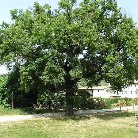 Appartement Ca' Castellani *