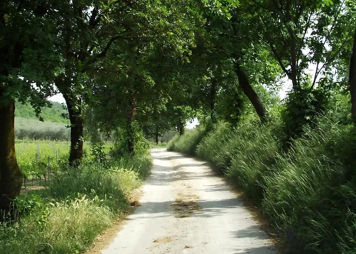 Ca' Castellani